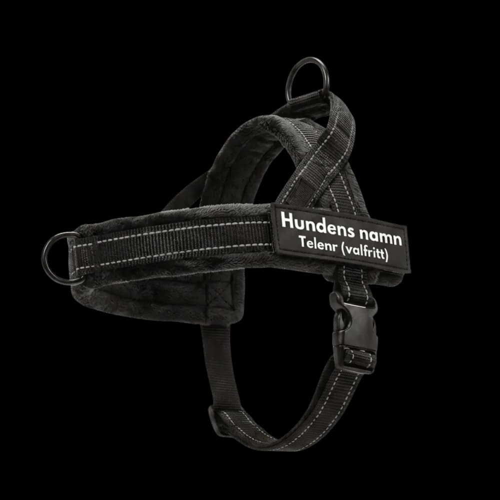 Featured product on a soft cream background.