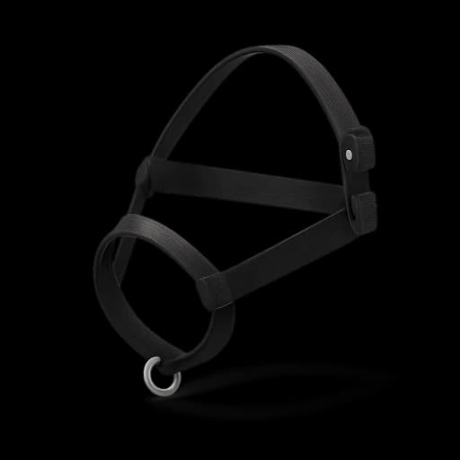 Head halter, Halti style