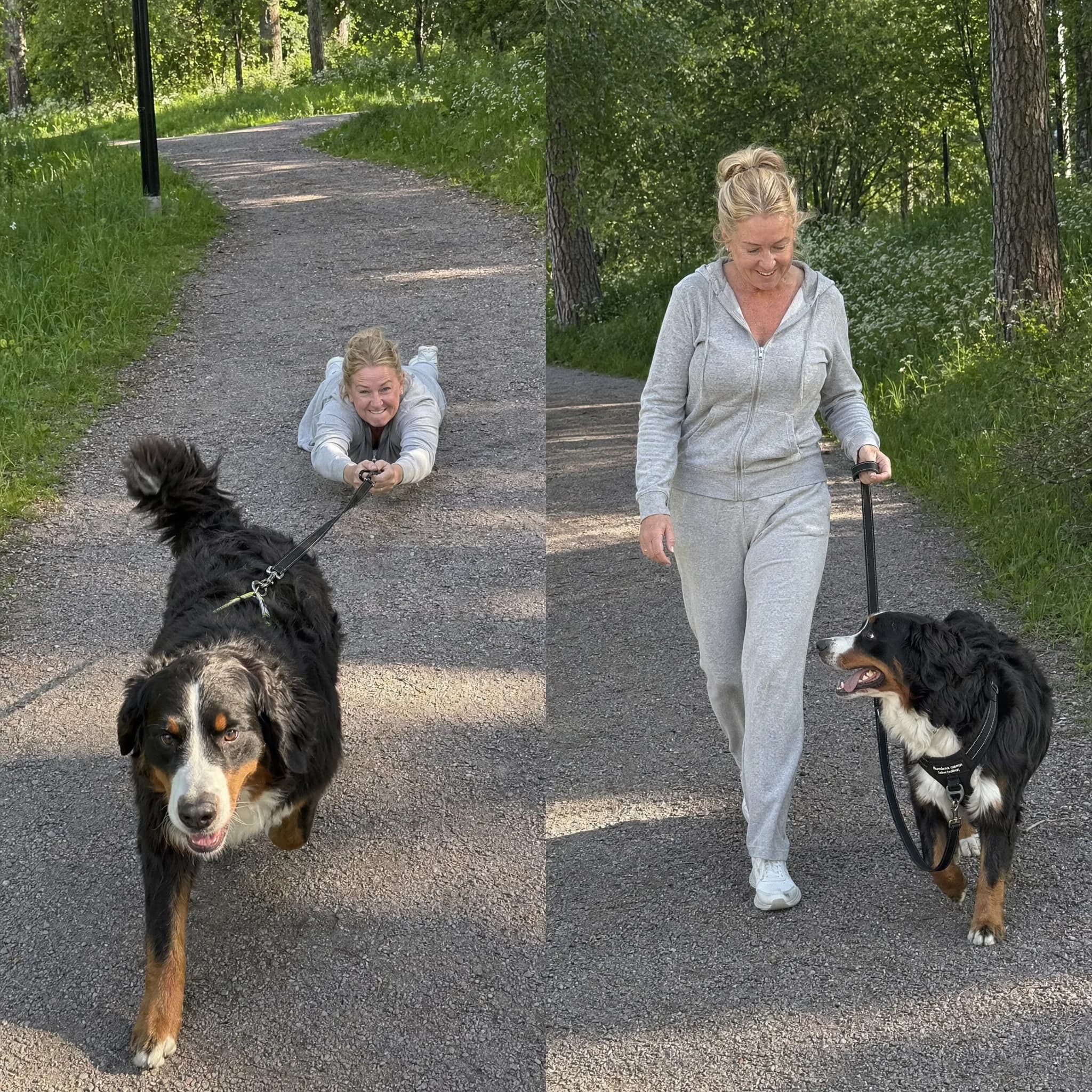 Stressed dog owner in a tug-of-war with their dog