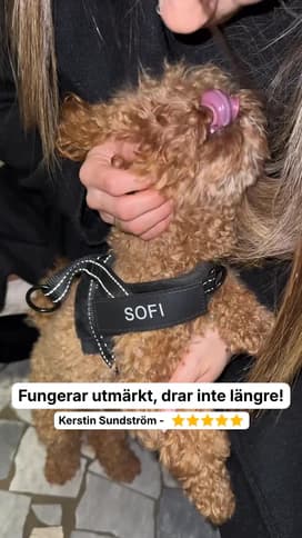 Happy dog owner with Dog Control Pro