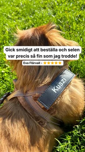 Dog owner showing off Dog Control Pro